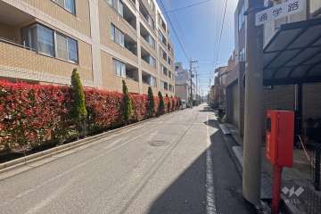 敷地南側の前面道路（西側から）