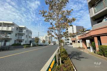 敷地西側の前面道路（南側から）