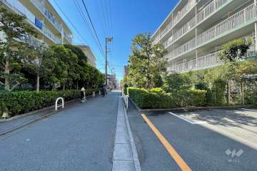 敷地東側の前面道路（北側から）