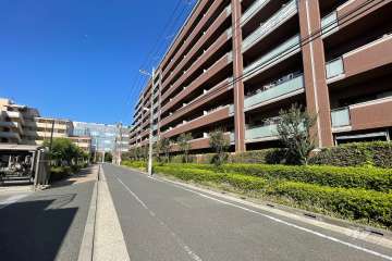 敷地の南側前面道路（東側から）