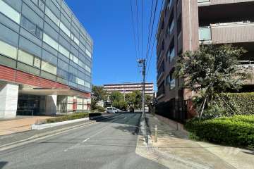 敷地の西側前面道路（南側から）