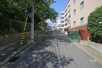 敷地東側の前面道路（北方向）
