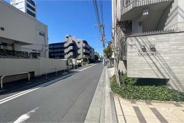 敷地南西側の前面道路（南東側から）