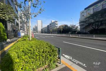 敷地東側の前面道路（南側から）