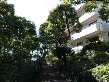 敷地内はたいへん緑豊か。木々の間を抜ける小道もあります。