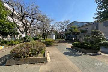 敷地前の公園