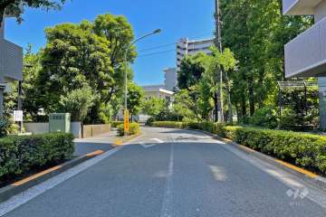 敷地東側の前面道路（北側から）