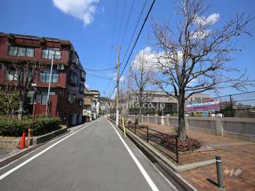 敷地東側の前面道路。道を挟んで『樋之池公園』があります。
