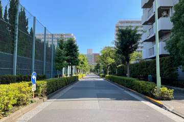 敷地の東側前面道路（北側から）