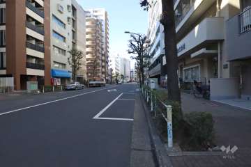 敷地南側の前面道路　