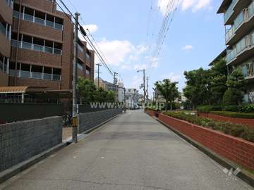 敷地南側の前面道路(東側から)