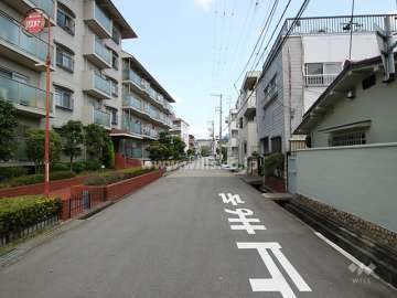 敷地東側の前面道路(南側から)