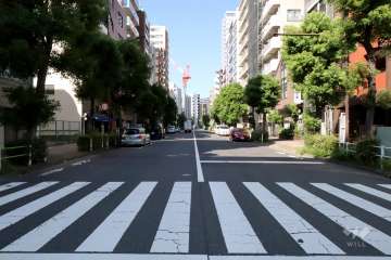敷地南側の前面道路