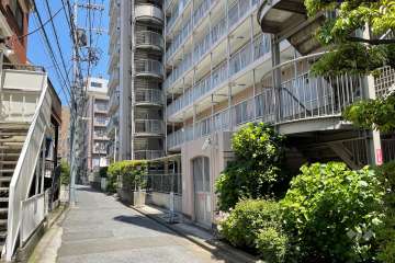 敷地の西側前面道路（南側から）