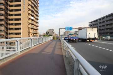 敷地南側の前面道路(西側から)