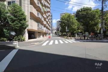 前面道路(南側)