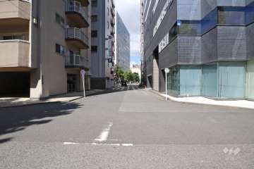 前面道路(東側)