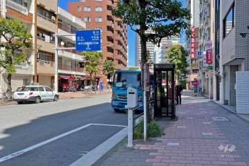 敷地北側の前面道路（西側から）