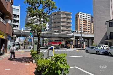 敷地南側の前面道路（西側から）