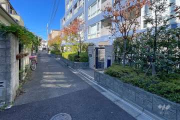 敷地南側の前面道路（東側から）