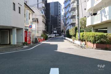 敷地側の前面道路(東側から)