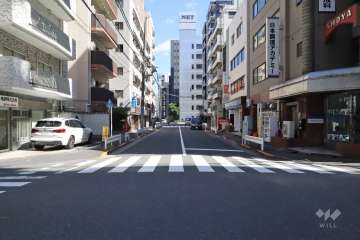 前面道路(南側)