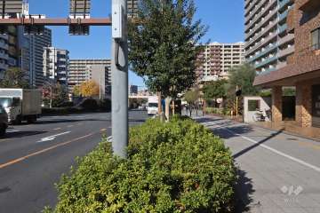 敷地西側の前面道路