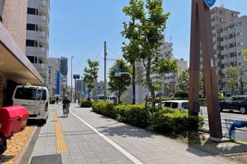 敷地の西側前面道路（北側から）