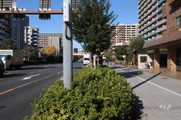 敷地西側の前面道路（南側から)