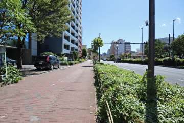 敷地西側の前面道路