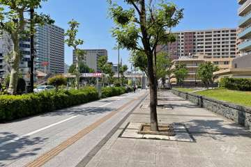 敷地西側の前面道路（国道15号・第一京浜）