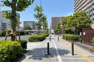 敷地西側の前面道路