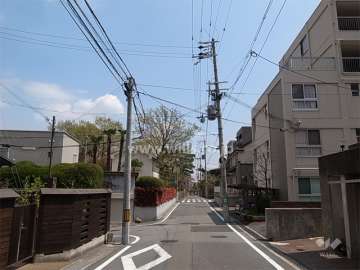 敷地北側の前面道路。周辺は緑が多く閑静です。