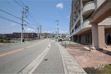 敷地西側の道路はバス道です。