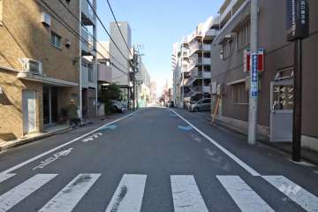 敷地北側の前面道路(西側から)