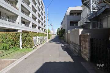 敷地南側の前面道路（西側から）