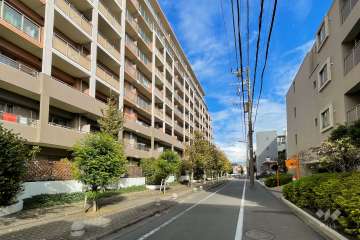 敷地南側の前面道路（西側から）