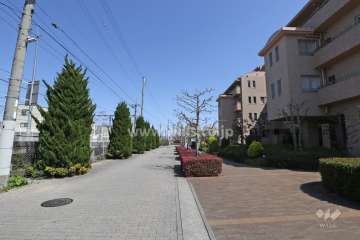 敷地北側の遊歩道