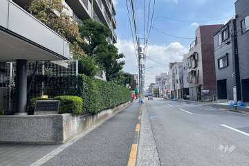 敷地の南側前面道路（西側から）
