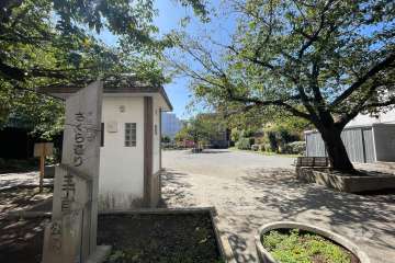 敷地の西側にある公園（さくら通り三丁目公園）