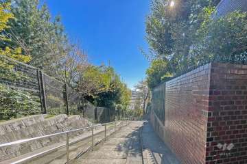 敷地の東側前面道路（北側から）