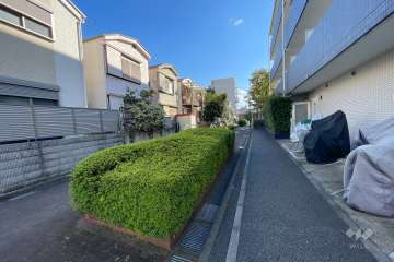 敷地東側の前面道路（北側から）