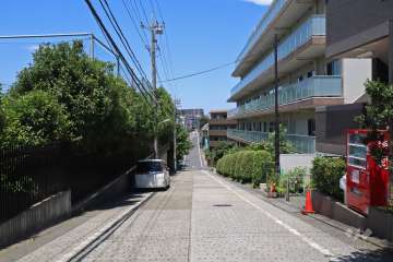 敷地西側の前面道路（南側から）