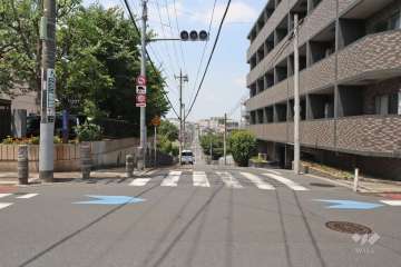 敷地南側の前面道路（東側から）
