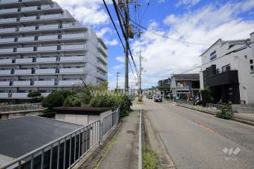 敷地東側の前面道路（武庫川パークロード）