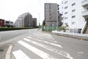 敷地東側の前面道路(北東側から)