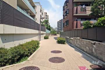 敷地の東側道路（南側から）