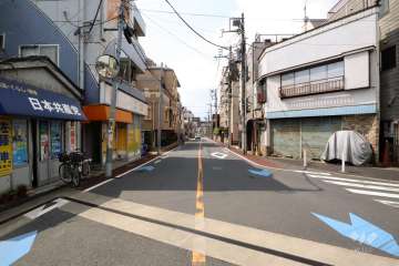 敷地西側の前面道路(北側から)