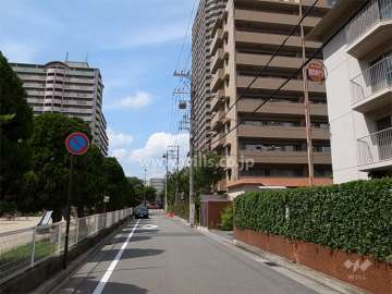 敷地西側の前面道路。道を挟んで向かい側に公園があります。
