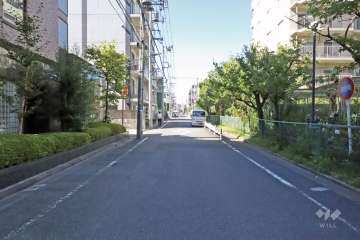 敷地西側の前面道路